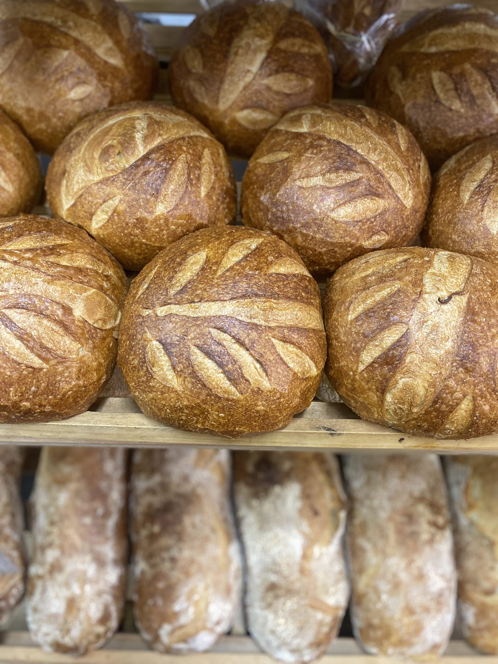 Shelves of scored sourdough boules