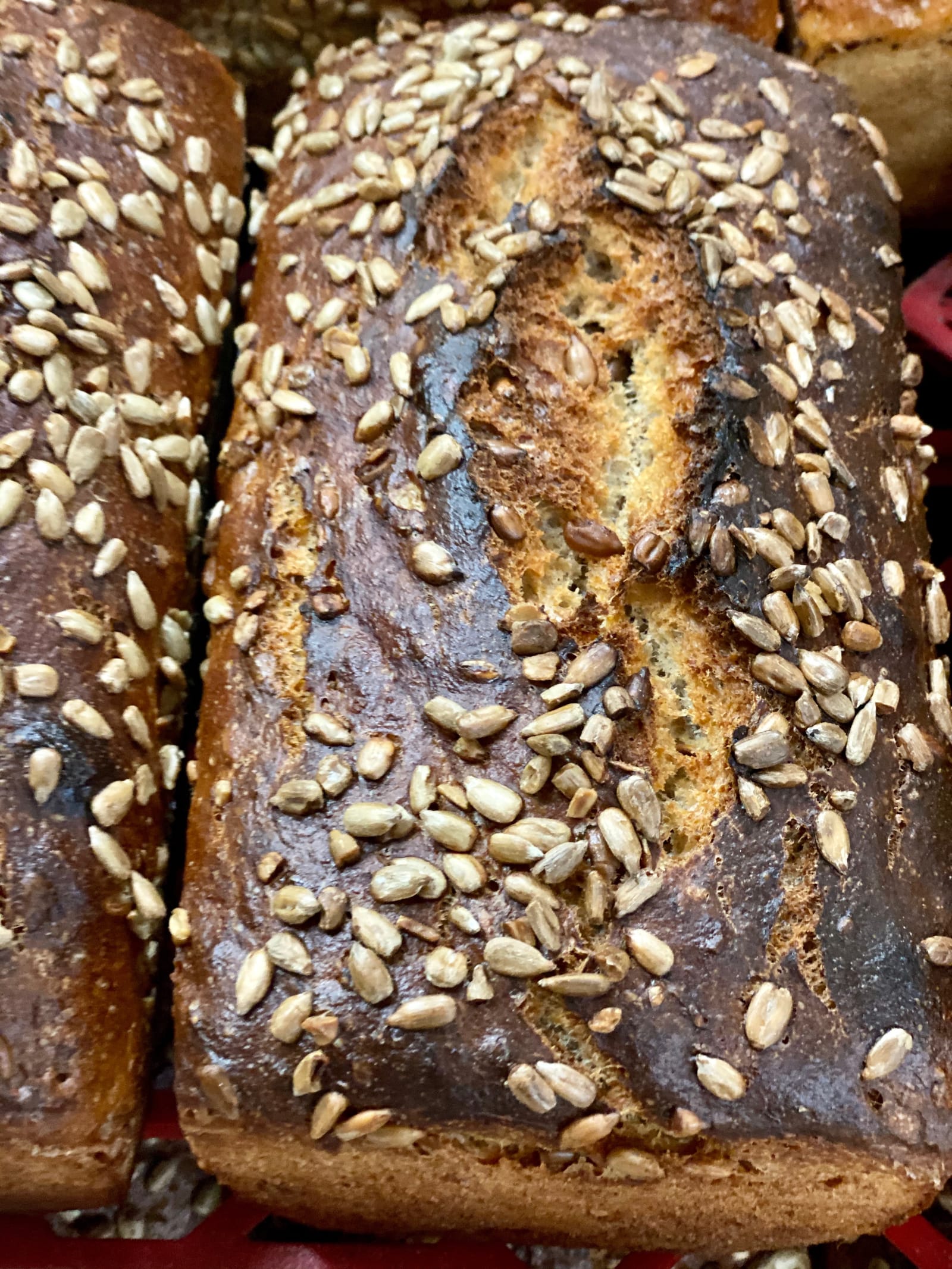 Dark rye loaves topped with sunflower seeds